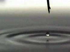 חוקרים צילמו טיפת מים וקיבלו תמונות מפתיעות (צילום: חדשות 2)