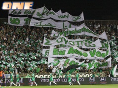 הקהל של מכבי חיפה. הקבוצה מצפה לתמיכה (עמית מצפה) (צילום: מערכת ONE)
