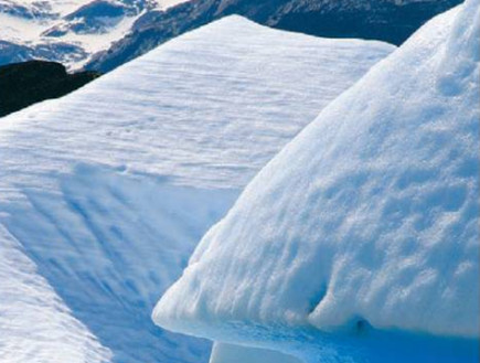קרחון בקלוז אפ (צילום: עופר שפירא, גלובס)