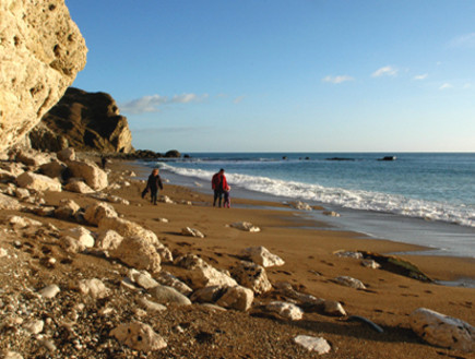 חוף אייפ (צילום: האתר הרשמי)