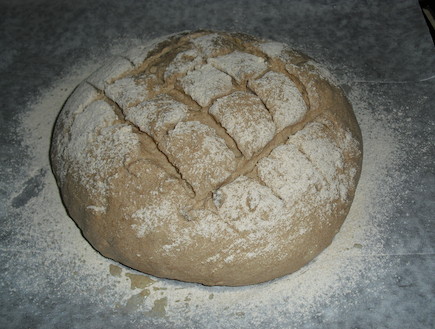 לחם מקמח מלא ושיפון - לפני האפייה (צילום: אביבה פיבקו)