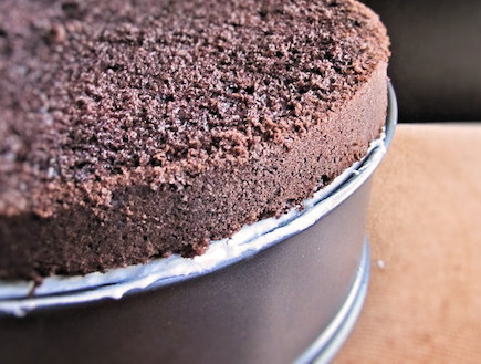 עוגת שוקולד, מוס קוקוס ותותים - עוגת השוקולד החצוי (צילום: דליה מאיר, קסמים מתוקים)