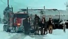 סוסים גורררים משאית בשלג