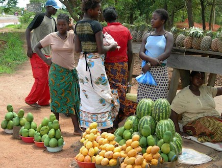 שוק אוכל מקומי באפריקה-מגמה צאלנג' (צילום: כלנית נבו)
