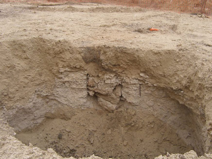 החפירות באנדרומדה (צילום: רשות העתיקות)