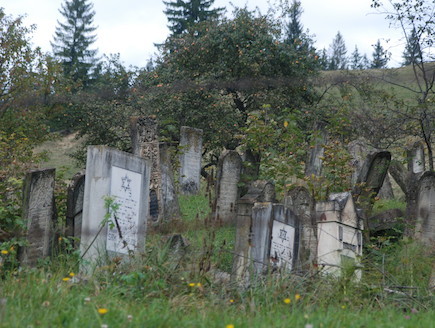 בית קברות יהודי בחומור, רומניה (צילום: גולן לובנוב,  יחסי ציבור )