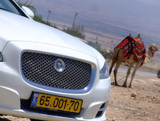 יגואר XJ יגואר XJ