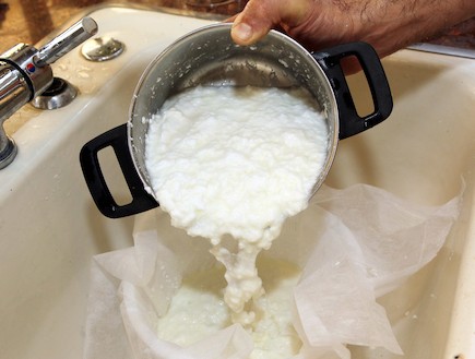 משק יעקבס - איך מכינים גבינה בבית (צילום: עודד קרני)
