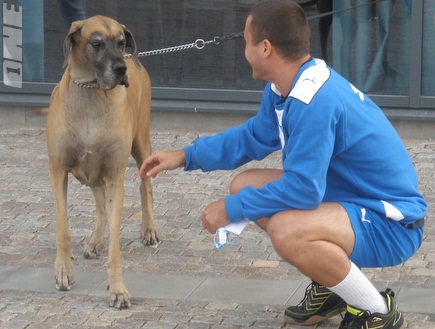 חן פומרנץ משתעשע עם כלב לפני האימון (אלון סגל) (צילום: מערכת ONE)