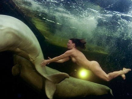 נטליה אבסנקו שוחה עם לווייתן (צילום: מתוך אתר ה dailymail)