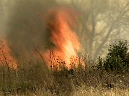 האש משתוללת, חלק מהתושבים פונו, ארכיון (צילום: חדשות 2)