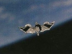 סיכת הלוחם של טל רמון בחלל (צילום: דובר צה"ל)