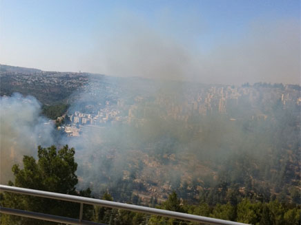 שריפה ביער ירושלים (צילום: דניאל מאור, המייל האדום)