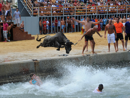 פסטיבל "שוורי הים" (צילום: Jasper Juinen, GettyImages IL)