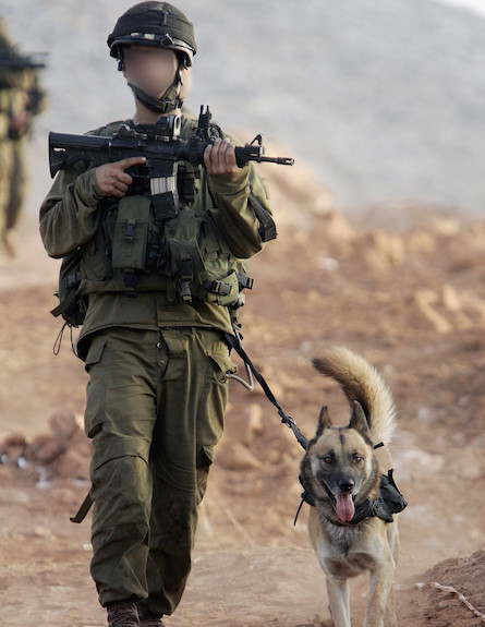 חייל עם כלב (צילום: Christopher Furlong, GettyImages IL)