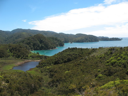 אבל טסמן ניו זילנד (צילום: אורי הראל)