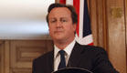 דיויד קמרון - ראש ממשלת בריטניה (צילום: חדשות 2)