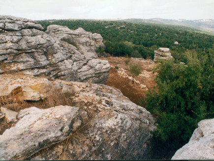 פארק הסלעים (צילום: קרן קיימת לישראל)