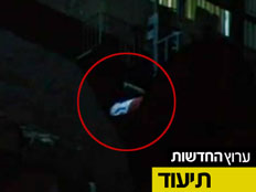 דגל מצרים בהפגנה (צילום: חדשות 2)