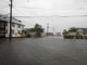 הוריקן איירין (צילום: רויטרס)