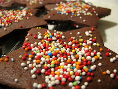 עוגיות שוקולד על רשת (צילום: עידית נרקיס כ"ץ)