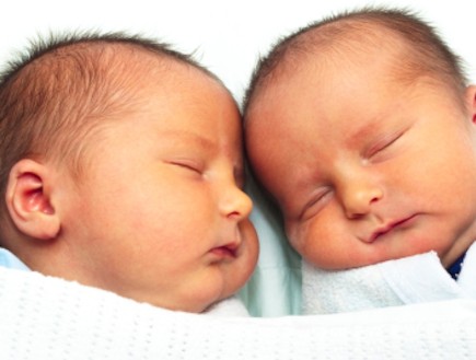 תאומים אחרי לידה (צילום: dcdp, Istock)