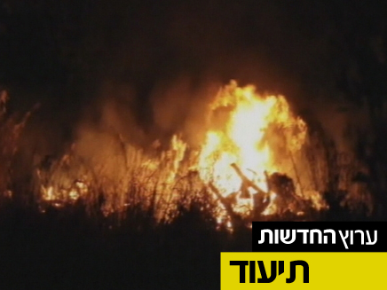 הצתות בחיפה, אמש (צילום: חדשות 2)