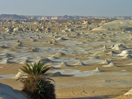 המדבר הלבן, מצרים (צילום: neiljs)