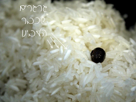 אורז 6 (צילום: אסתי רותם, אוכל טוב)
