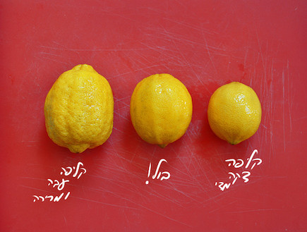 לימונים (צילום: גל, פתיתים)