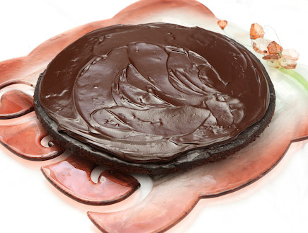 עוגת שוקולד פאדג' (צילום: עודד קרני)