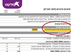 סעיף החיוב, כפי שהופיע בחשבונית (צילום: חדשות 2)