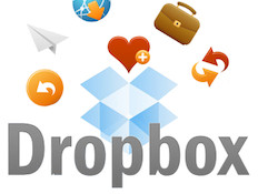 dropbox (צילום: באדיבות "אנשי הפרחים בישראל", צילום מסך)