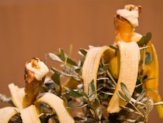 קונכיות פילו במילוי נוטלה, גבינת ריקוטה ובננות (צילום: עדי עובדיה)