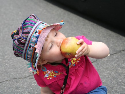 תינוקת אוכלת תפוח (צילום: Amy Sussman, GettyImages IL)