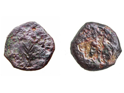 מטבעות שנתגלו (צילום: דוברת רשות העתיקות)