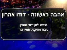 קריוקי: דודו אהרון – אהבה ראשונה (תמונת AVI: mako)