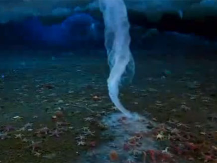 צפו בתיעוד הטורנדו התת-ימי (צילום: BBC)