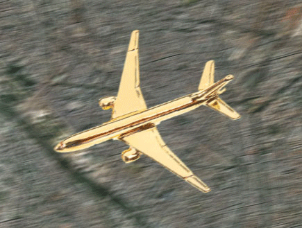 מטוס מזהב - איור למדור של שאנן (צילום: וניה הימן)