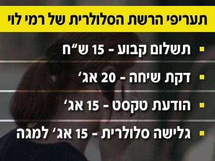 תכנית התעריפים של רמי לוי (צילום: חדשות 2)