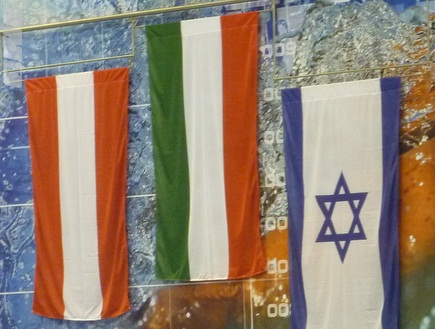 דגל ישראל מונף למעלה (איגוד השחייה) (צילום: מערכת ONE)