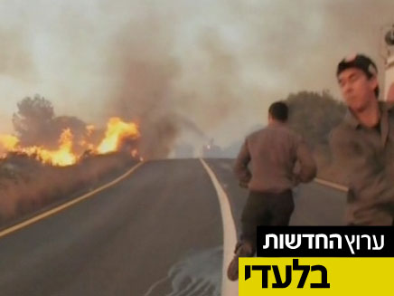 אלעד ריבן, שריפה בכרמל (צילום: חדשות 2)