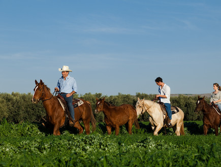 טיול סוסים באזור חוות מוסקט (צילום: אורי אקרמן)