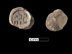 שני צדי המטבע (צילום: רשות העתיקות)