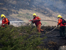 כבאים בזירת השריפה בצ'ילה (צילום: רויטרס)