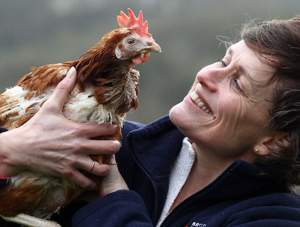 ג'ין הורוט וליברטי, "תרנגולת הסוללה" האחרונה בבריטניה