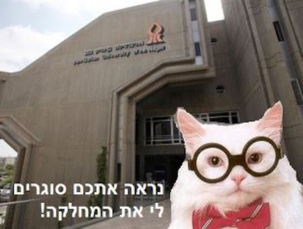 חתול באוניברסיטת באר שבע, מתוך קבוצת הפייסבוק "חתולים מסיתים לשמאל (צילום: mako)