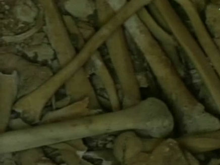 עצמות בבית שמש (צילום: חדשות 2)