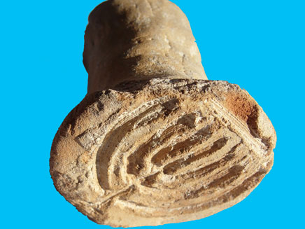החותם שהתגלה בעכו (צילום: דוברות רשות העתיקות)