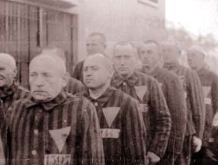 הומואים_גרמניה הנאצית2 (צילום: צילום מסך מאתר ויקיפדיה)